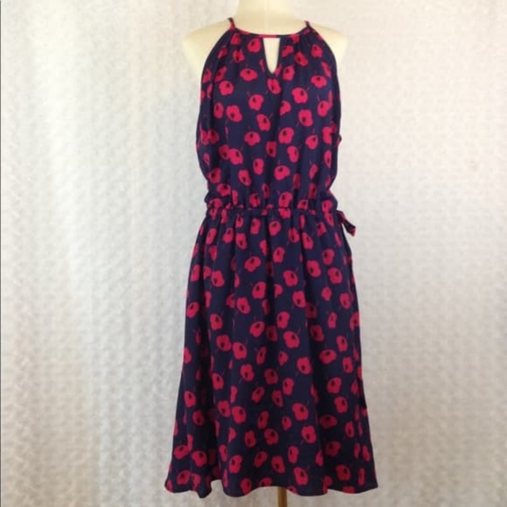 XL 41 Hawthorn Tammi Dress Sundress
